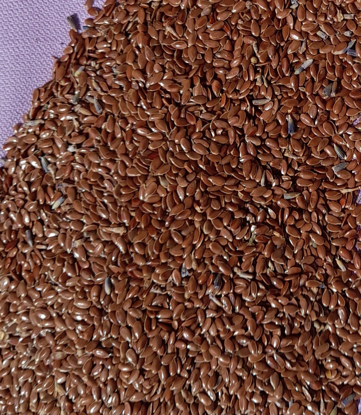 Masque de relaxation pour les yeux, bio en graines de lin